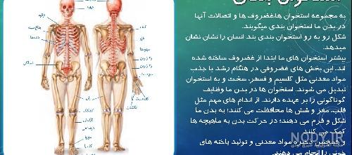 جواب بدین لطفا - علوم تجربی هشتم | پرسان جواب بدین لطفا - علوم تجربی هشتم | پرسان