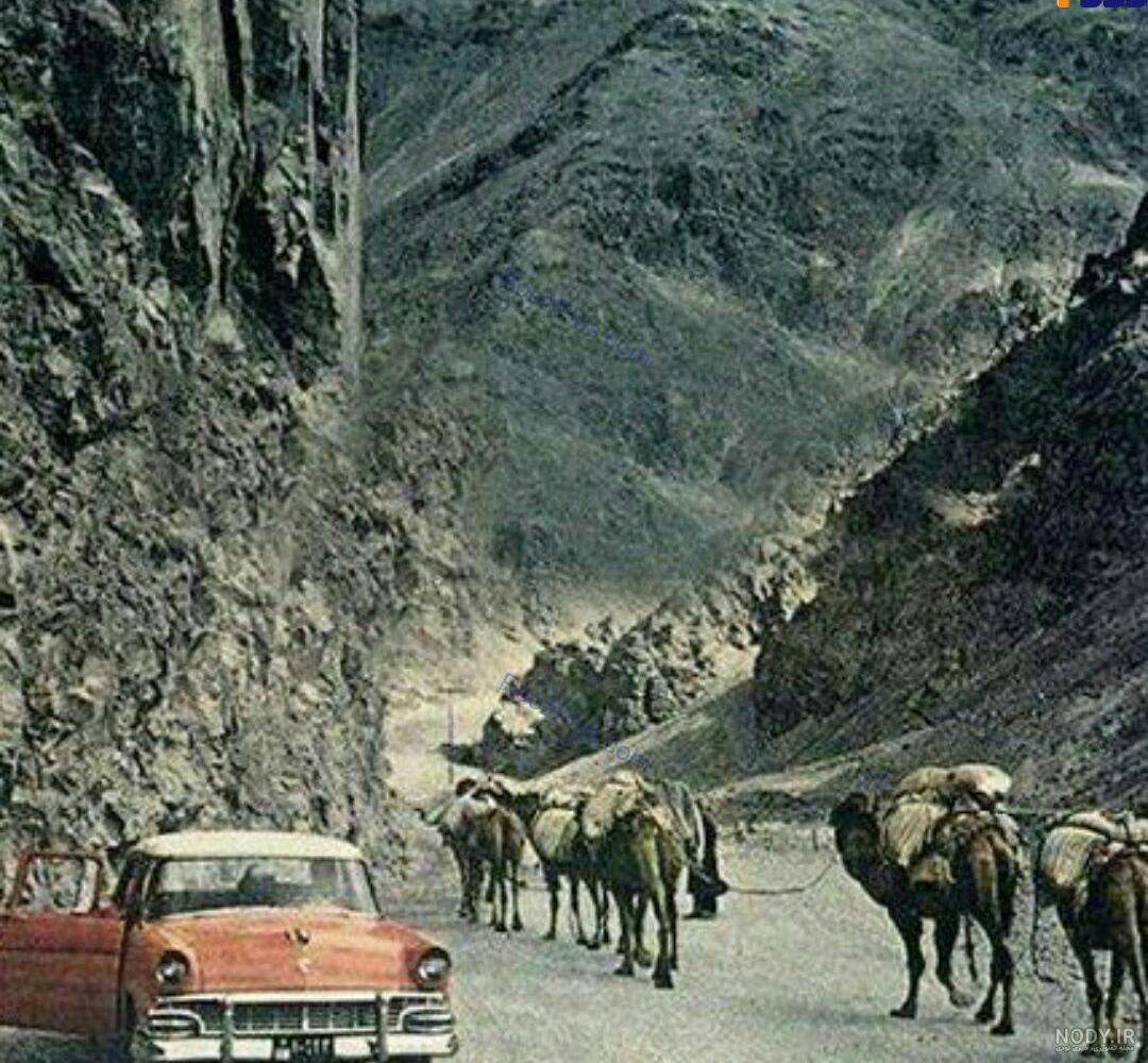 خبرآنلاین - تصاویر | مسافران جاده چالوس شب عیدقربان را این‌گونه گذراندند