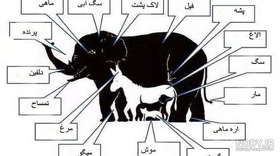 خطاهای دید جالب و دیدنی (6) خطاهای دید جالب و دیدنی (6)