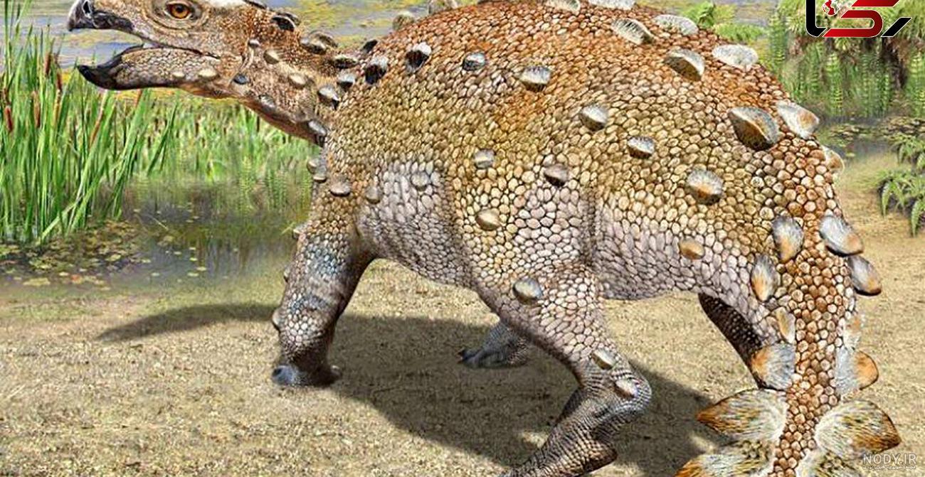 دایناسورها (دنیای زیبای من) - Hello World Dinosaurs, فروشگاه اینترنتی همیشه دایناسورها (دنیای زیبای من) - Hello World Dinosaurs, فروشگاه اینترنتی همیشه