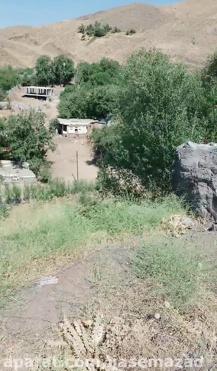 شکنجه و آزار 95 هزارکودک آمریکایی در زندان های بزرگسالان | پایگاه خبری تارود دماوند | اخبار شهرستان دماوند | Tarood Damavand News Agency شکنجه و آزار 95 هزارکودک آمریکایی در زندان های بزرگسالان | پایگاه خبری تارود دماوند | اخبار شهرستان دماوند | Tarood Damavand News Agency