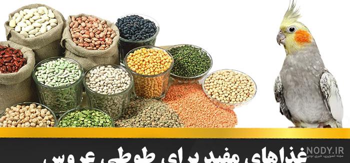 عروسک بيبي بورن طرح نوزاد مدل 677 ارتفاع 30 سانتي | فروشگاه عماد عروسک بيبي بورن طرح نوزاد مدل 677 ارتفاع 30 سانتي | فروشگاه عماد