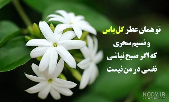 عکس برای پروفایل یاسمین - عکس نودی