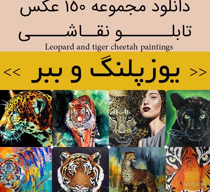 عکس بچه پلنگ سیاه عکس بچه پلنگ سیاه