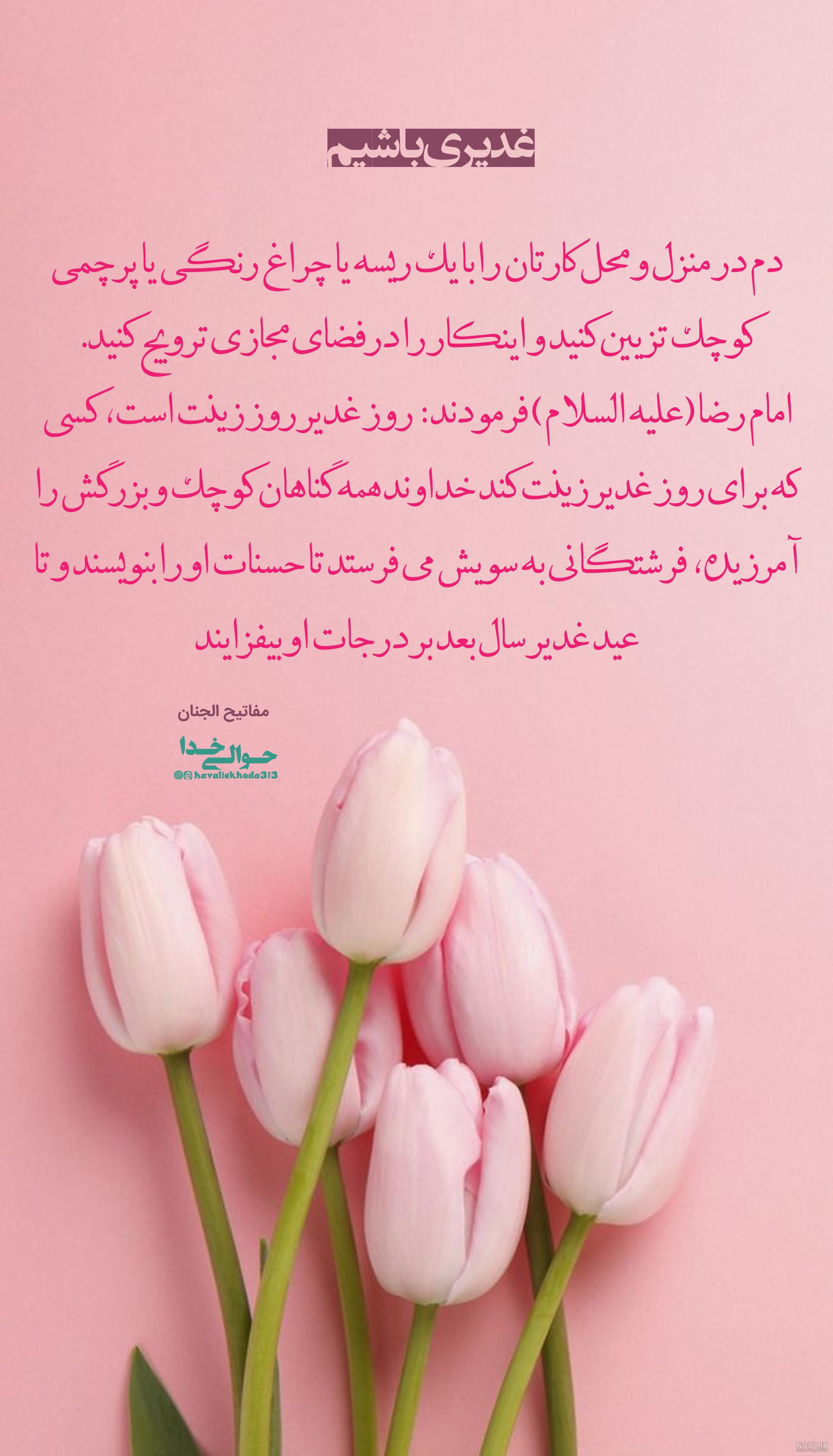 عکس/ جشن شب عید غدیر در ایران اسلامی عکس/ جشن شب عید غدیر در ایران اسلامی