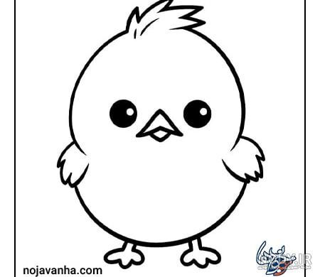 عکس جوجه زرد کوچولو عکس جوجه زرد کوچولو