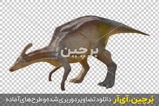 عکس دایناسورها - عکس نودی عکس دایناسورها - عکس نودی