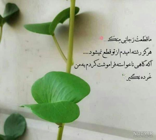 عکس های مفهومی زیبا عکس های مفهومی زیبا