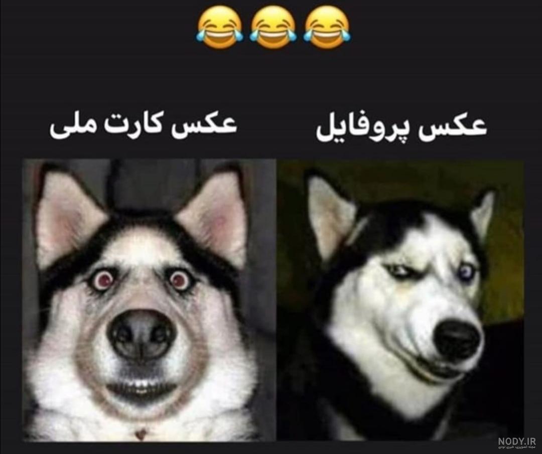 عکس نوشته سوالی - تــــــــوپ تـــــــــاپ عکس نوشته سوالی - تــــــــوپ تـــــــــاپ
