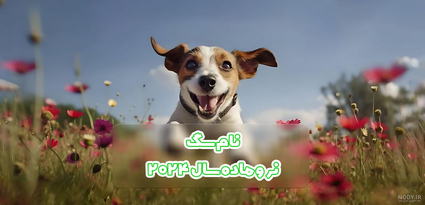 عکس پاپت سگ پگاه - عکس نودی عکس پاپت سگ پگاه - عکس نودی