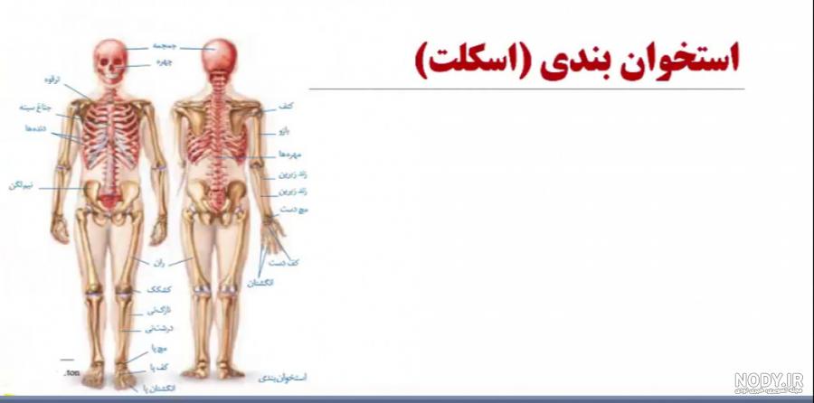 فصل ششم(پایه هشتم) فصل ششم(پایه هشتم)
