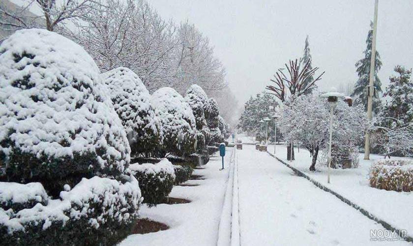 مشرق نیوز - عکس/ شدت برف زمستانی در شمال تهران