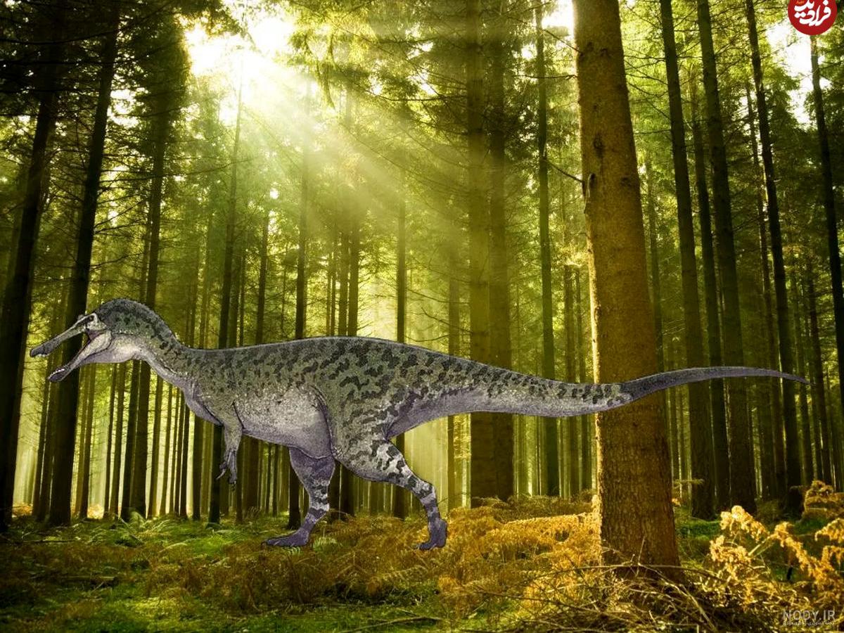 پارک ژوراسیک تهران؛ تصاویر، امکانات و آدرس | مجله علی بابا پارک ژوراسیک تهران؛ تصاویر، امکانات و آدرس | مجله علی بابا