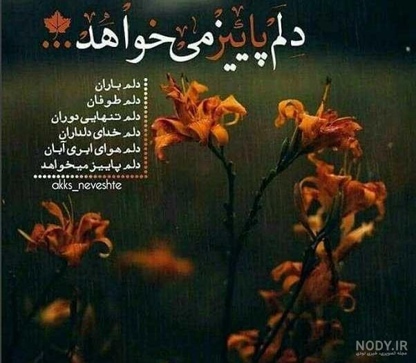 پاییزی جان تولدت مبارک 😁😍 - فیلو