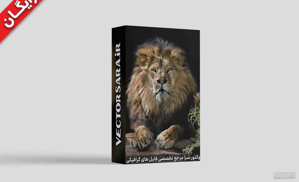 پس زمینه شیر برای گوشی - مجله نورگرام