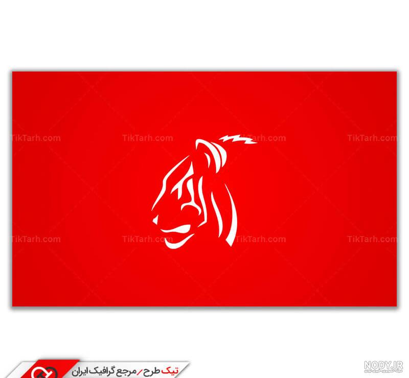 ۱۷ عکس شیر سفید جذاب برای پروفایل و پس زمینه - ستاره