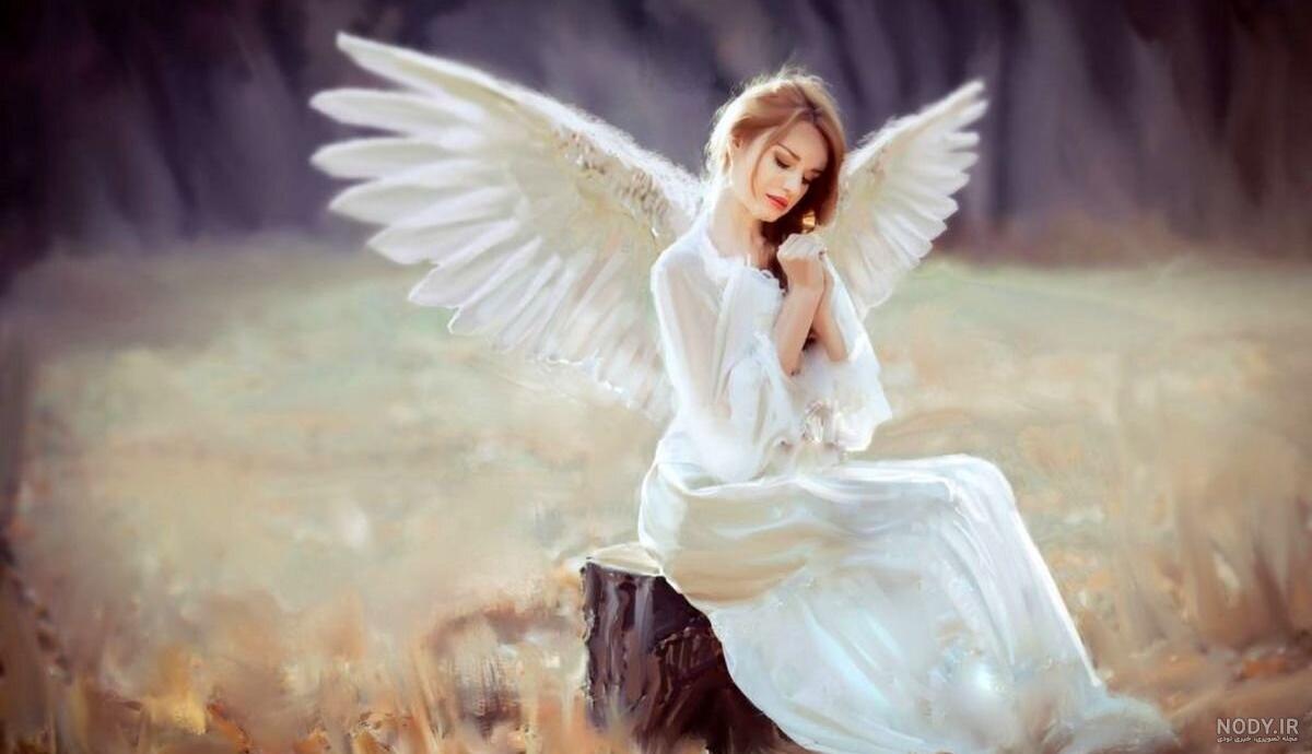 دانلود 30 عکس PNG بدون بک گراند بال فرشته و پر White Feather Overlays دانلود 30 عکس PNG بدون بک گراند بال فرشته و پر White Feather Overlays