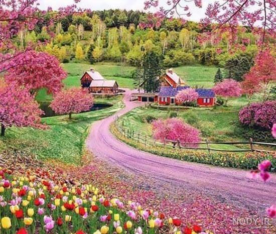 طبیعت سرسبز شهری زیبا در چین + عکس