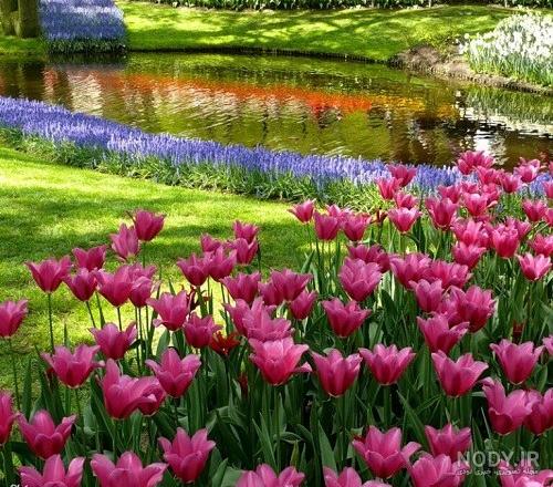 عکس بهشت برای پروفایل ، عکس بهشت واقعی خدا - تــــــــوپ تـــــــــاپ عکس بهشت برای پروفایل ، عکس بهشت واقعی خدا - تــــــــوپ تـــــــــاپ