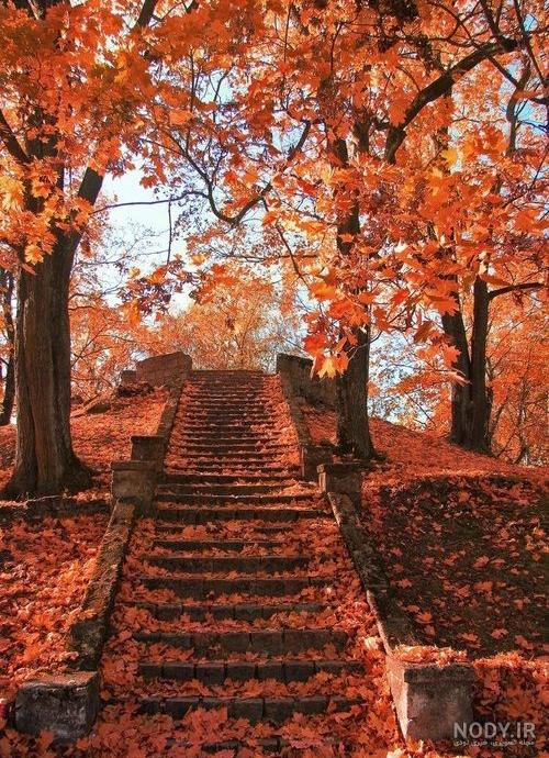 عکس قشنگ پس زمینه