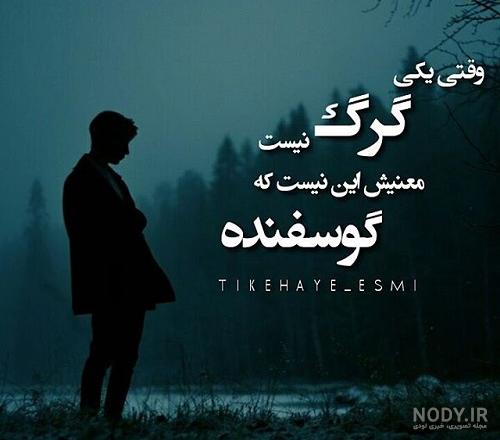 عکس نوشته گرگ - تــــــــوپ تـــــــــاپ عکس نوشته گرگ - تــــــــوپ تـــــــــاپ