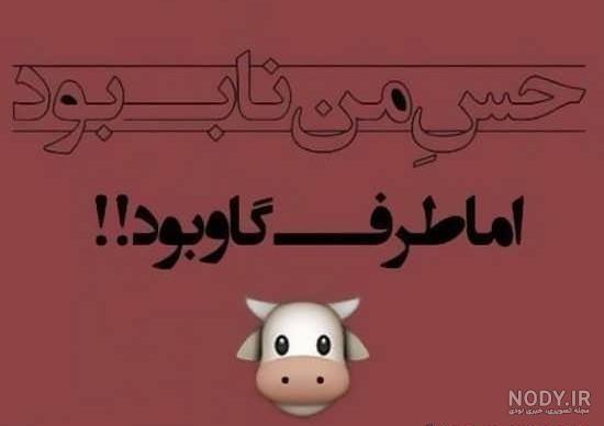 عکس پروفایل زیبا تیکه دار عکس پروفایل زیبا تیکه دار
