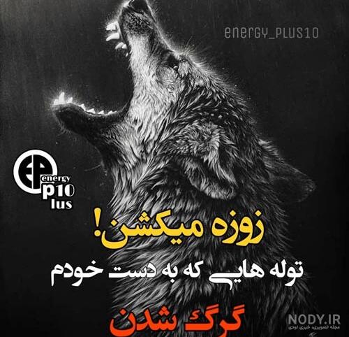 عکس پروفایل گرگ با نوشته های انگیزشی + متن های زیبا و انگیزشی عکس پروفایل گرگ با نوشته های انگیزشی + متن های زیبا و انگیزشی