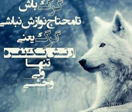 عکس گرگ نوشته عکس گرگ نوشته