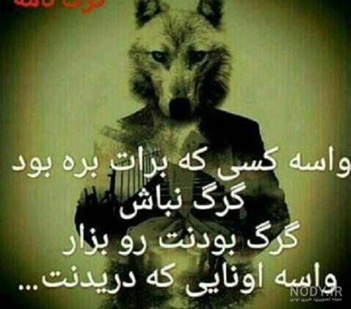 عکس گرگ نوشته برای پروفایل عکس گرگ نوشته برای پروفایل