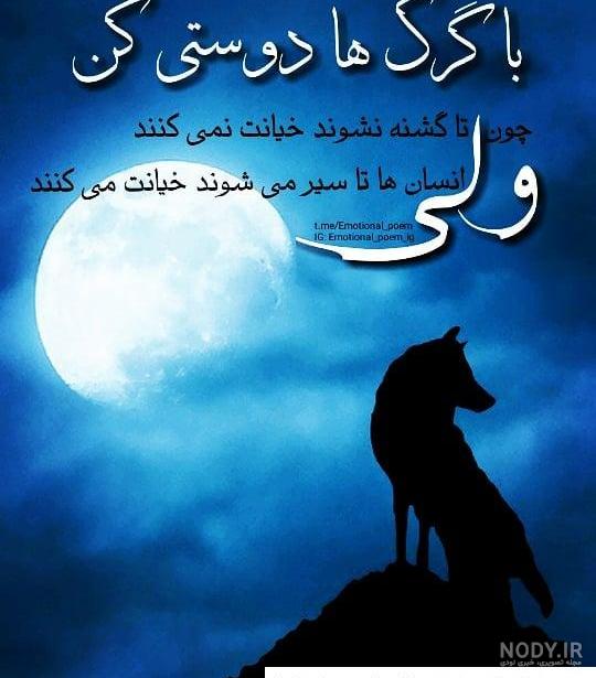 عکس گرگ نوشته دار عکس گرگ نوشته دار