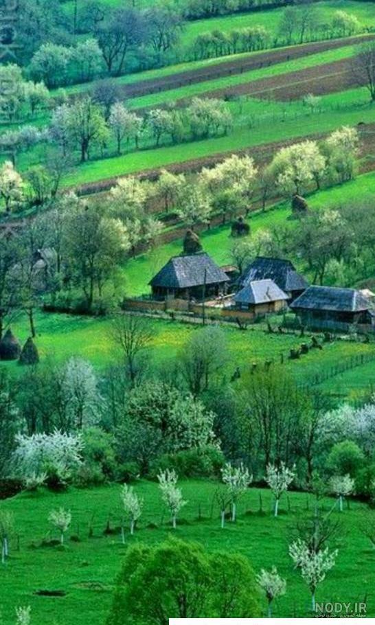 مشرق نیوز - تصویری زیبا از طبیعت سرسبز خرم آباد