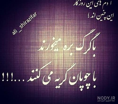 چند عکس گرگ - متمم چند عکس گرگ - متمم