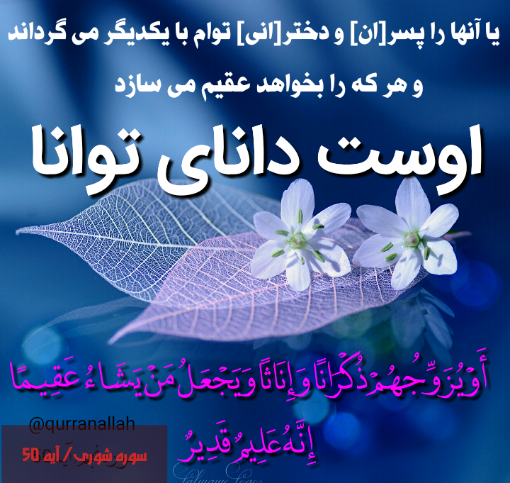 کانال تلگرام 🌸مهر بانو ۲۰۱۸🌸@MehrBanooo_2018