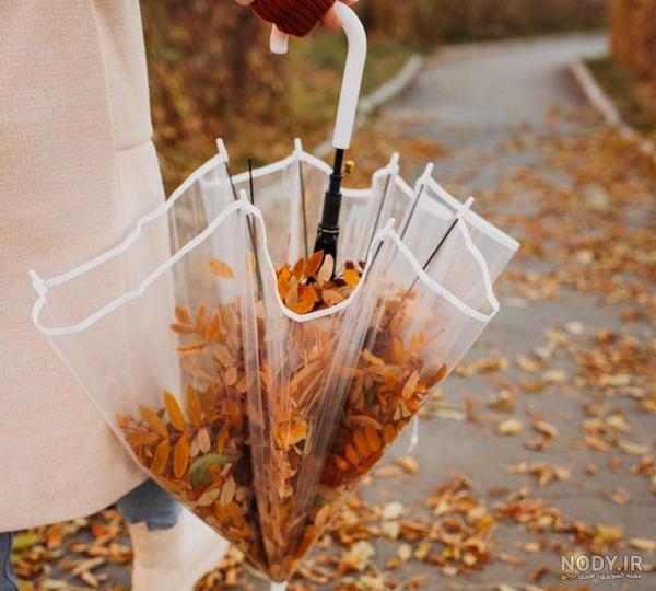 عکس انار پاییزی برای پروفایل