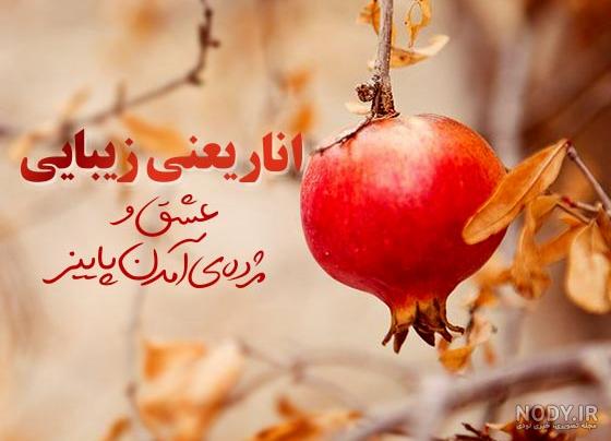 عکس انار پاییزی برای پروفایل