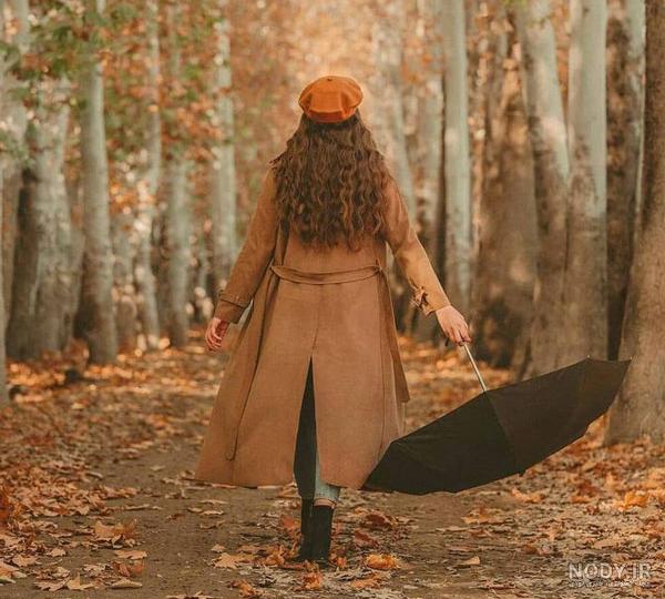 عکس انار پاییزی برای پروفایل