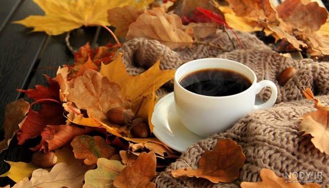 عکس خفن عکس انار پاییزی