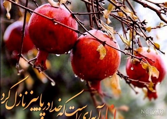 عکس خفن عکس انار پاییزی