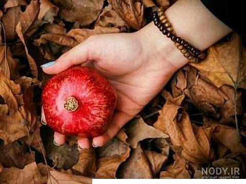 عکس انار پاییزی برای پروفایل