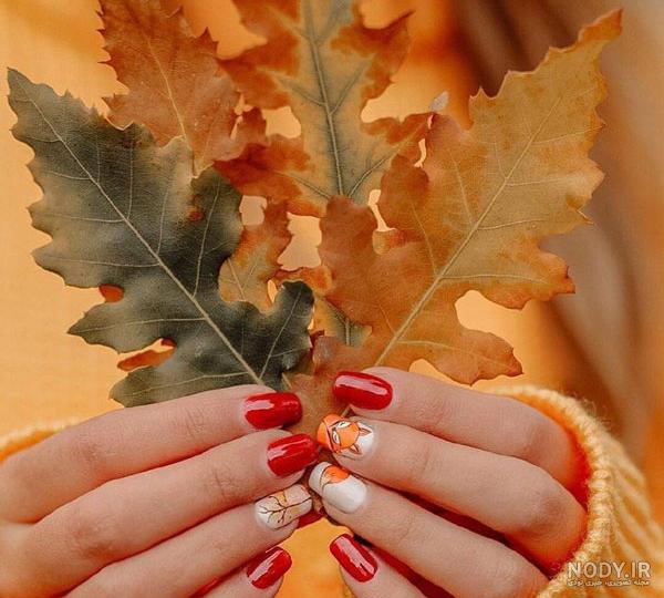 عکس انار پاییزی برای پروفایل