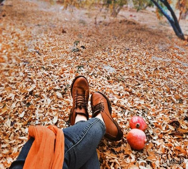 عکس انار پاییزی برای پروفایل