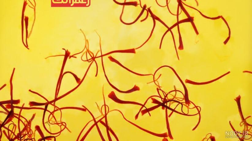 خرید عمده قوری زعفران دم کن چینی رنگی خرید عمده قوری زعفران دم کن چینی رنگی