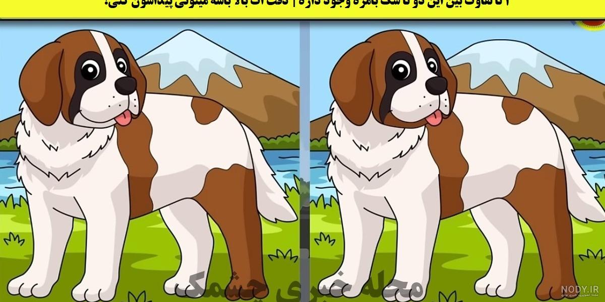 دانلود عکس با کیفیت سگ با نژاد مختلف - دیجی پی اس دی دانلود عکس با کیفیت سگ با نژاد مختلف - دیجی پی اس دی