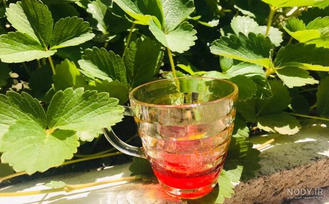 طرز تهیه بهترین روش دم کردن زعفران ساده و خوشمزه توسط A&A - کوکپد طرز تهیه بهترین روش دم کردن زعفران ساده و خوشمزه توسط A&A - کوکپد