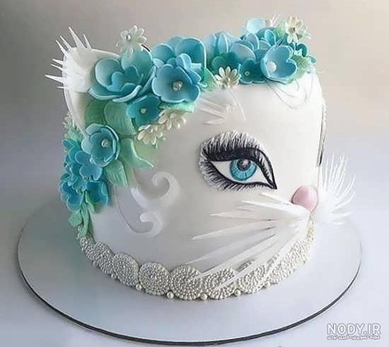 عکس تولد گربه