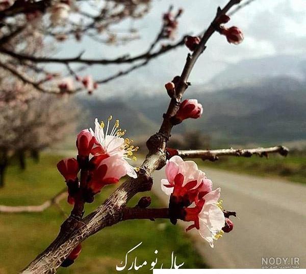 عکس های دختر 25 ساله فرناندو که اولین کمک داور زن در جام جهانی است عکس های دختر 25 ساله فرناندو که اولین کمک داور زن در جام جهانی است