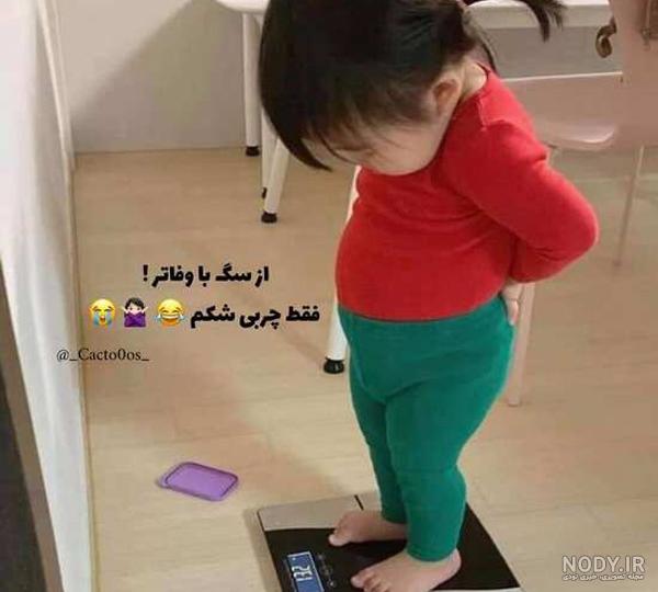 عکس دخترانه طنز ❤️ [ بهترین تصاویر ]