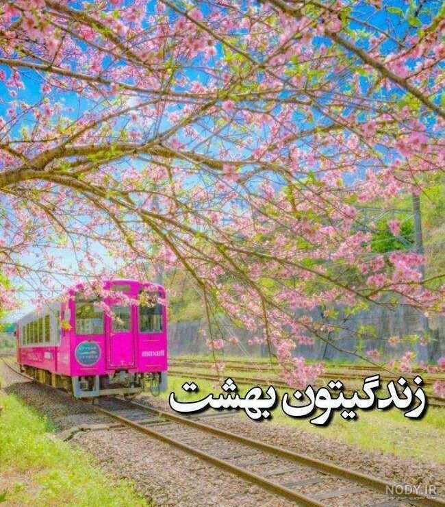 عکس زیبا ظهر بخیر - عکس نودی عکس زیبا ظهر بخیر - عکس نودی