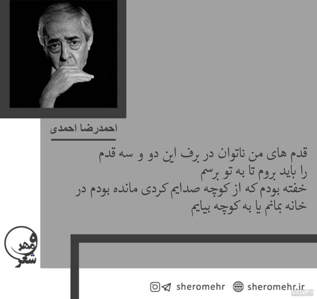 عکس نوشته شقایق عکس نوشته شقایق