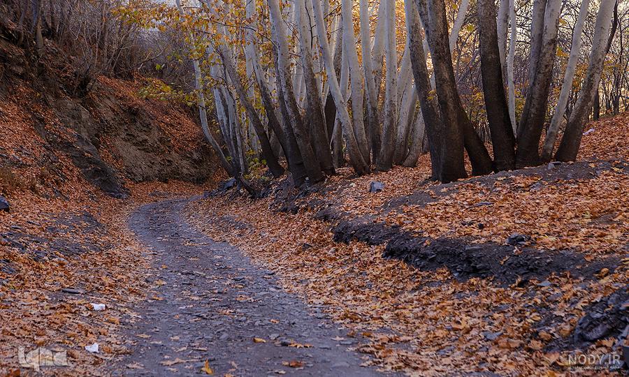 عکس ها و تصاویر طبیعت زیبای پاییزی در کشور های مختلف جهان عکس ها و تصاویر طبیعت زیبای پاییزی در کشور های مختلف جهان